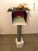 DSCN0484.jpg