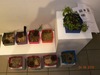 DSCN0485.jpg