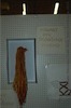 Musee-Odysseus-Theater-_20100620_005.jpg