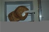 Musee-Odysseus-Theater-_20100620_007.jpg